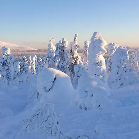 Dom wakacyjny Loimu *