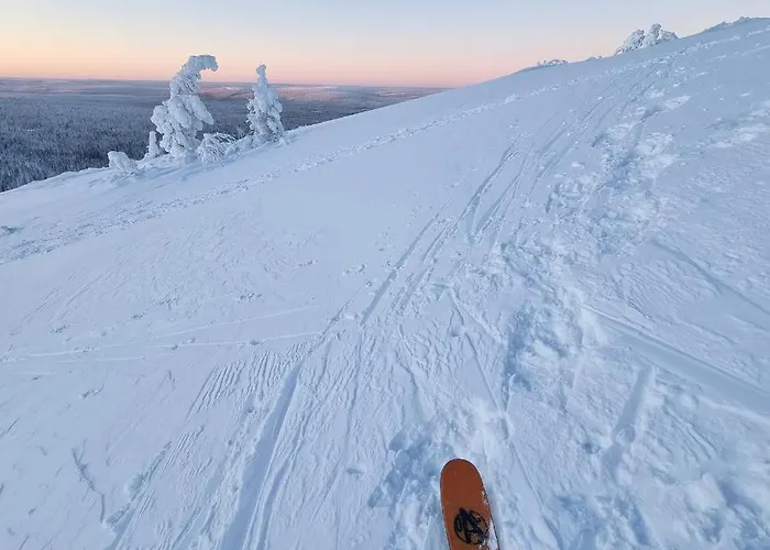 Loimu Holiday home *